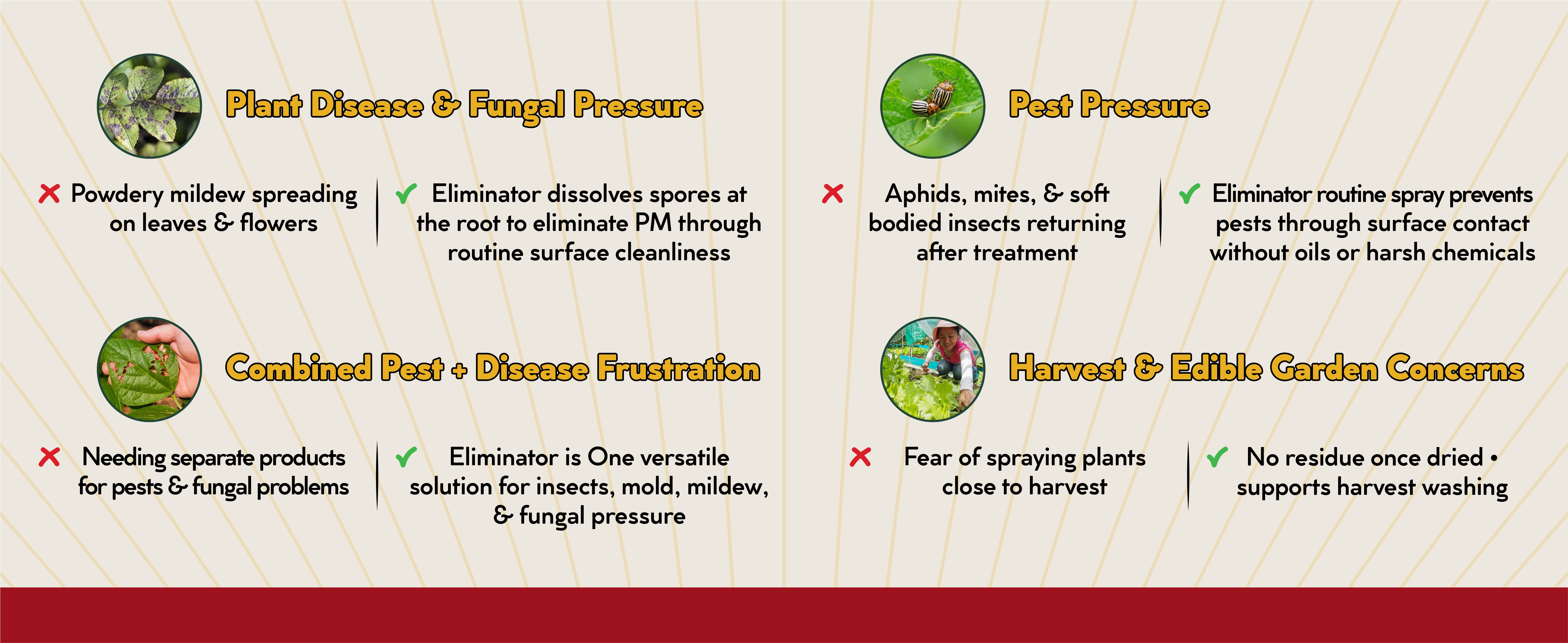 Natural Insecticide - Fungicide & Insecticide - Garden Disease Control