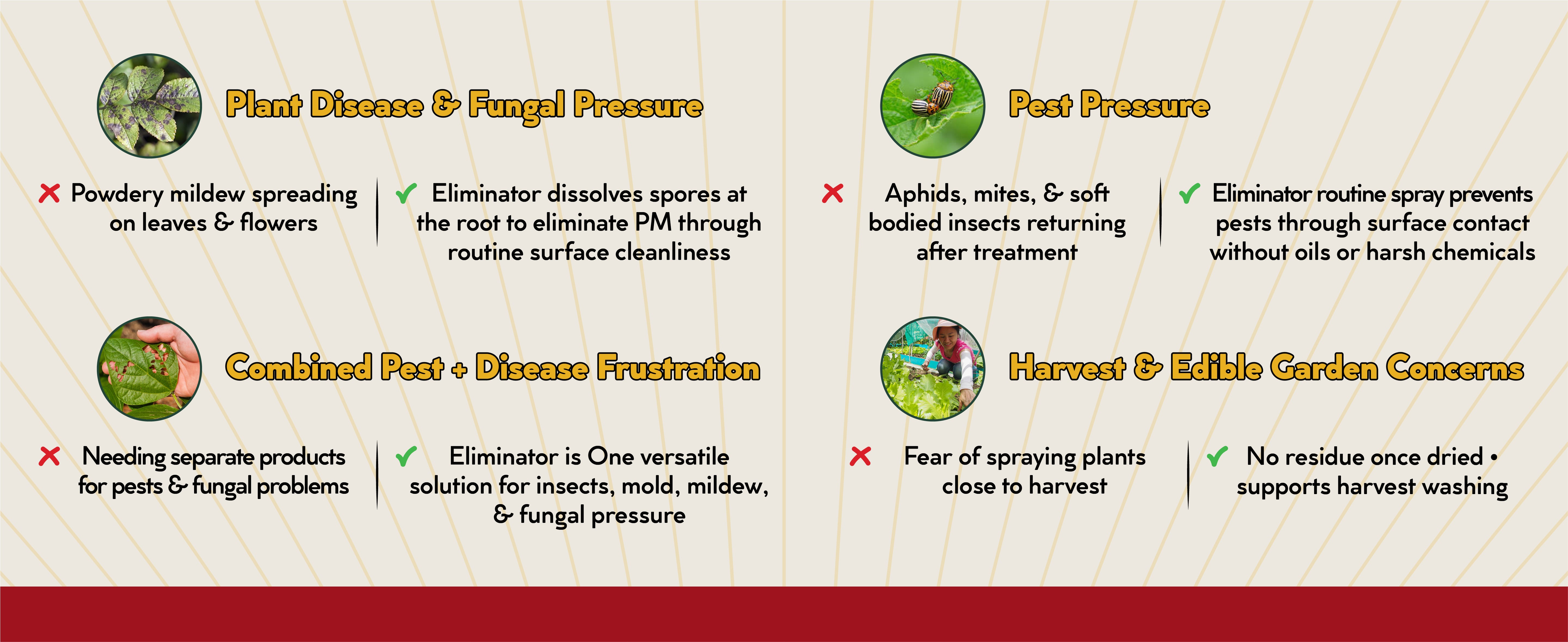 ELIMINATOR INSECTICIDE & FUNGICIDE - 100% Natural, All-In-One, Eliminate & Prevent Pests, Mildew, Fungus, Mold, Viruses, Bacteria & Garden Disease